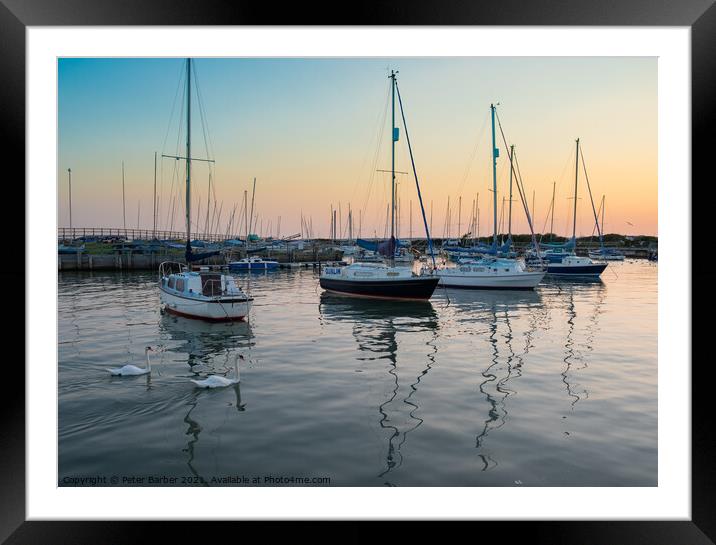 The Swans in the Harbour at sunset Framed Mounted Print by Peter Barber