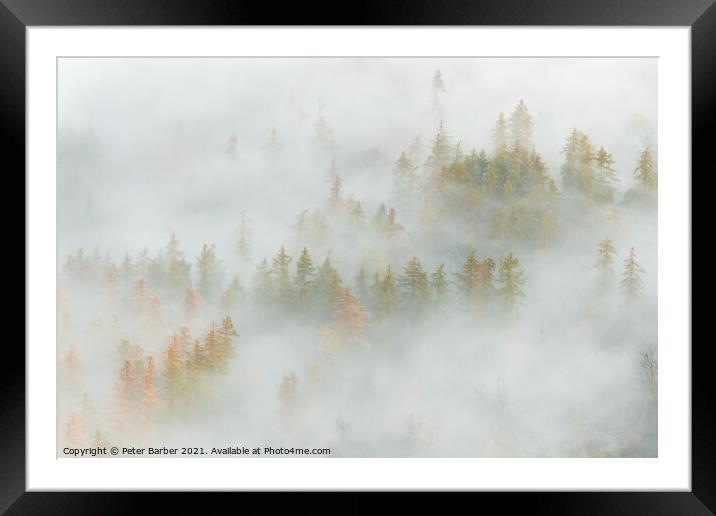 Great Wood in the Lake District lost in the fog Framed Mounted Print by Peter Barber