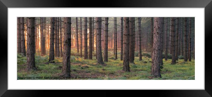Matley Ridge Sunrise Framed Mounted Print by Peter Barber