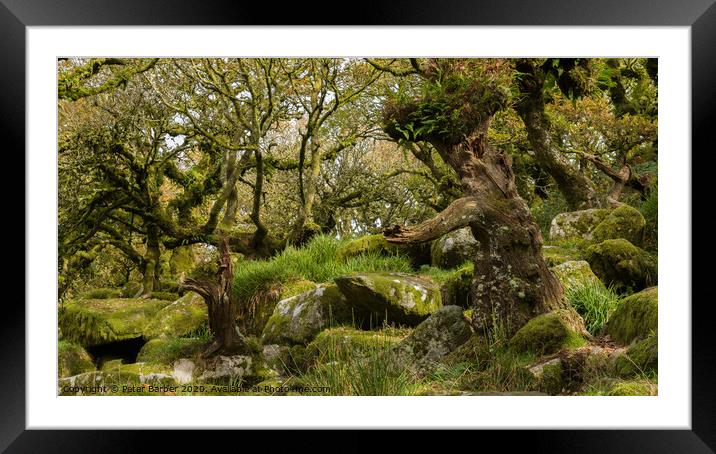 Father and son Framed Mounted Print by Peter Barber