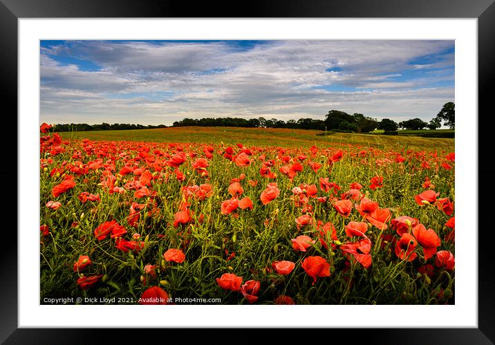 Lest We Forget Framed Mounted Print by Dick Lloyd