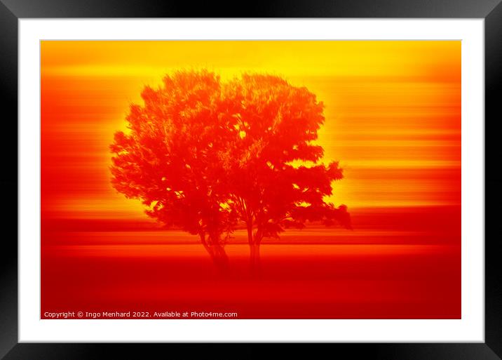 Serengeti tree in sunset  Framed Mounted Print by Ingo Menhard