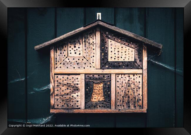 The bee hotel Framed Print by Ingo Menhard