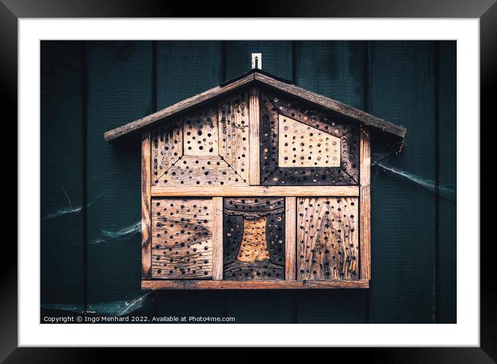 The bee hotel Framed Mounted Print by Ingo Menhard
