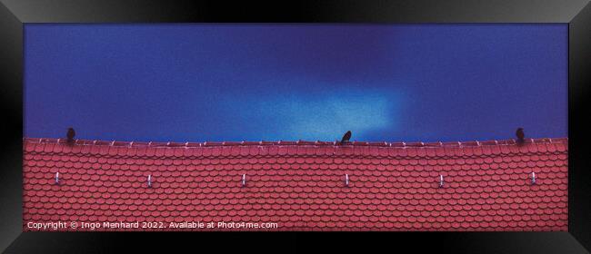 Storm birds Framed Print by Ingo Menhard