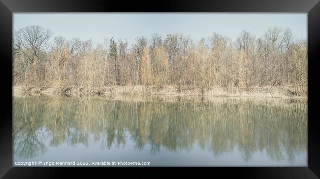 Trees are reflected in the water of the forest lake Framed Print by Ingo Menhard