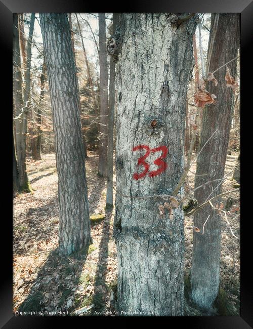 Number 33 painted on a tree Framed Print by Ingo Menhard
