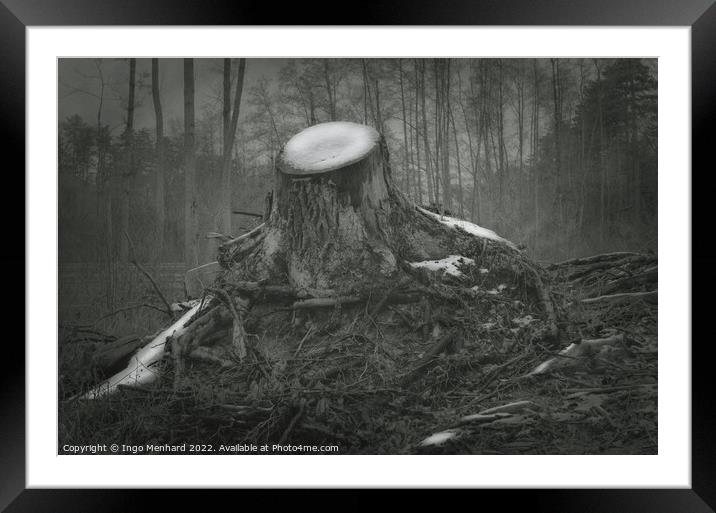 The last snow in the forest Framed Mounted Print by Ingo Menhard