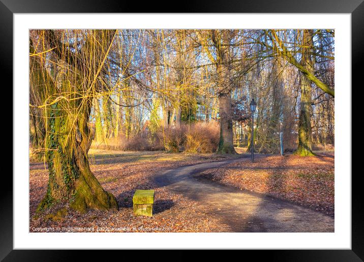 Path in the park surrounded by fallen leaves in autumn Framed Mounted Print by Ingo Menhard