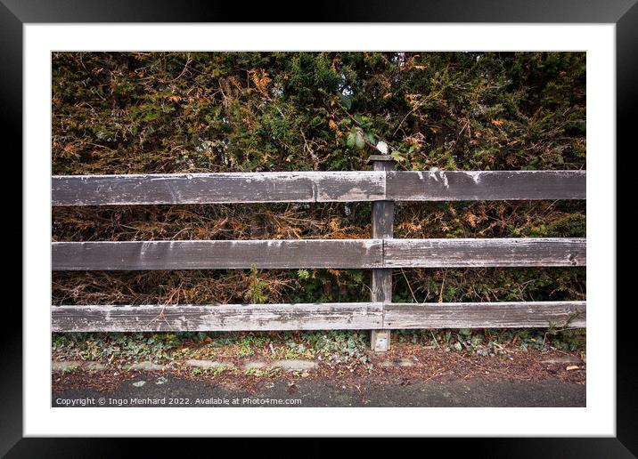 Bunch of bushes and wild plants behind a wooden fence Framed Mounted Print by Ingo Menhard