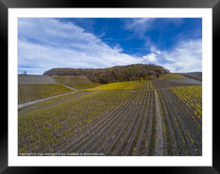 A beautiful view of the rows of vineyards under dramatic sky Framed Mounted Print by Ingo Menhard