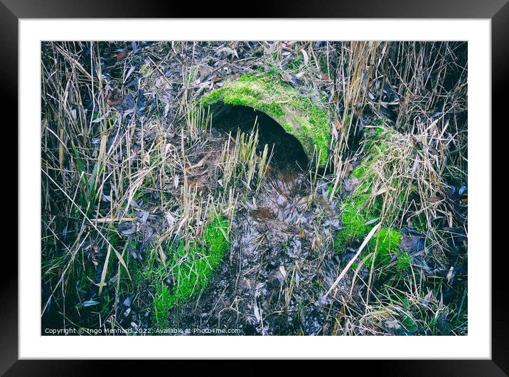 Partially clogged old concrete drain pipe surrounded by grass and moss Framed Mounted Print by Ingo Menhard