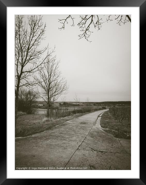 Long road surrounded by leafless trees in a field under a cloudy sky Framed Mounted Print by Ingo Menhard
