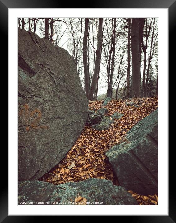 Vertical shot of big rocks and brown fallen leaves on the ground with bare trees in the background Framed Mounted Print by Ingo Menhard