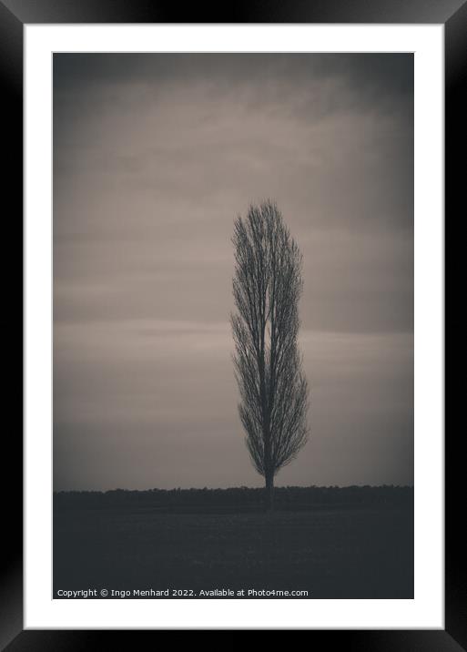 Vertical shot of a tree in a park Framed Mounted Print by Ingo Menhard