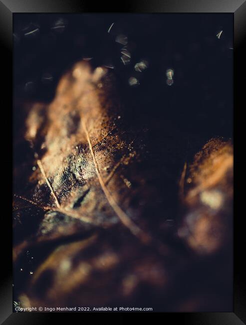 Brown blurry leaf closeup Framed Print by Ingo Menhard