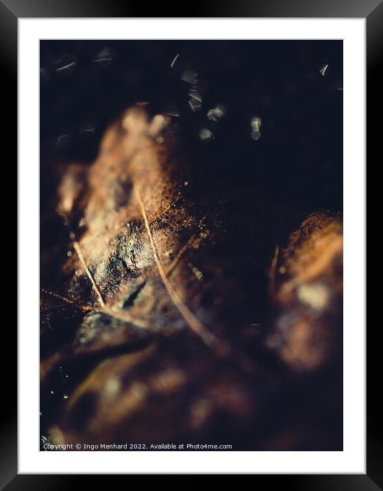 Brown blurry leaf closeup Framed Mounted Print by Ingo Menhard