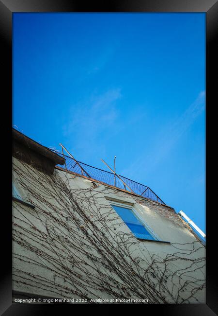 Vertical low angle shot of a building with tree roots under a blue sky Framed Print by Ingo Menhard