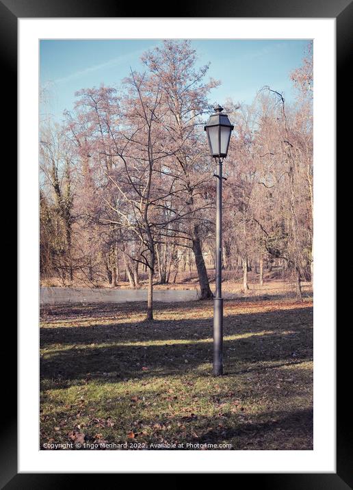 Vertical shot of a street light and bare trees in a park Framed Mounted Print by Ingo Menhard