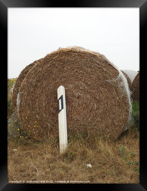 A closeup shot of brown round hay bale behind road signal white bollard at the gloomy day Framed Print by Ingo Menhard
