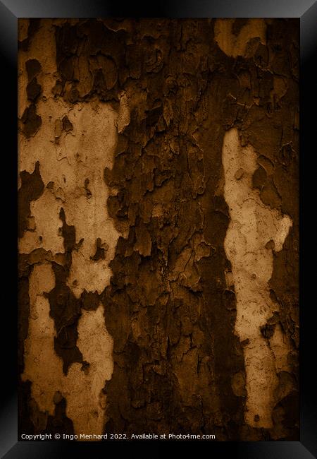 Vertical shot of an old tree trunk bark - perfect for background Framed Print by Ingo Menhard