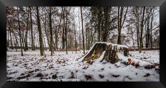 Cut tree trunk covered by the snow in winter Framed Print by Ingo Menhard