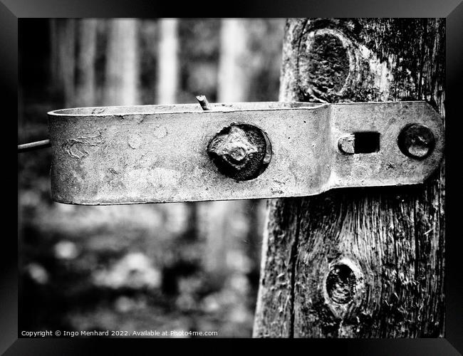 A grayscale closeup shot of a metal part attached to tree log Framed Print by Ingo Menhard