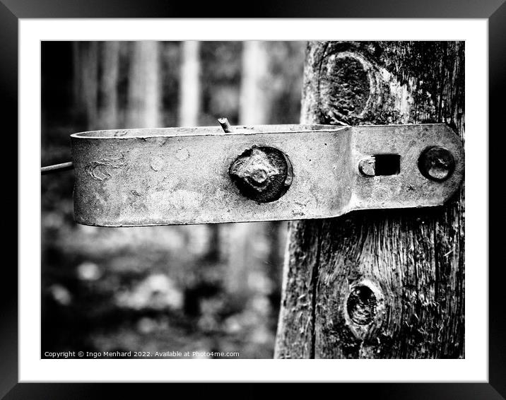 A grayscale closeup shot of a metal part attached to tree log Framed Mounted Print by Ingo Menhard