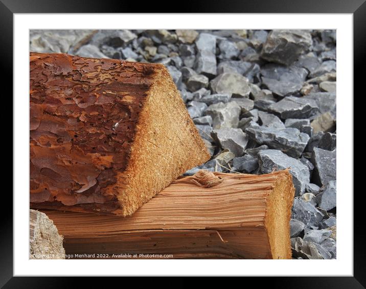 Pieces of dry wood on a rock Framed Mounted Print by Ingo Menhard