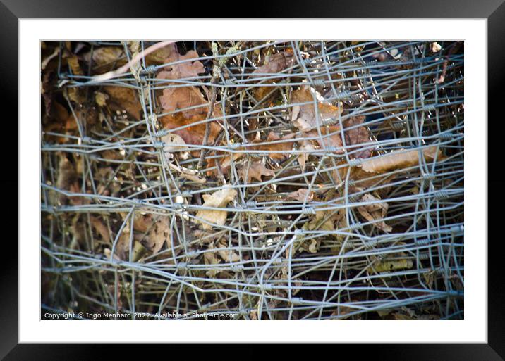 Closeup shot of an iron mesh fence with dry autumn leaves Framed Mounted Print by Ingo Menhard