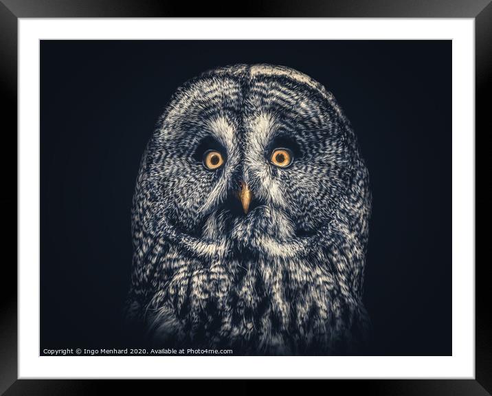 Owl Joe Framed Mounted Print by Ingo Menhard