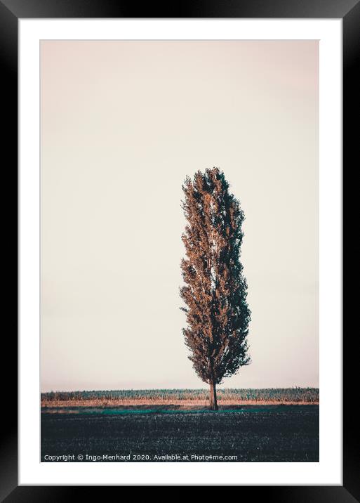 Tree cannon Framed Mounted Print by Ingo Menhard