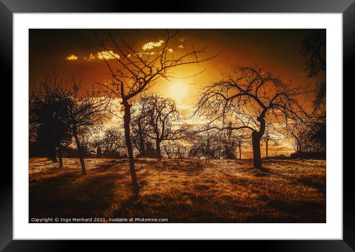 Fading sunshine in last autumn Framed Mounted Print by Ingo Menhard