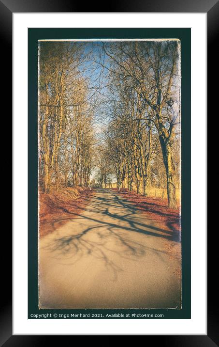Spring alley Framed Mounted Print by Ingo Menhard