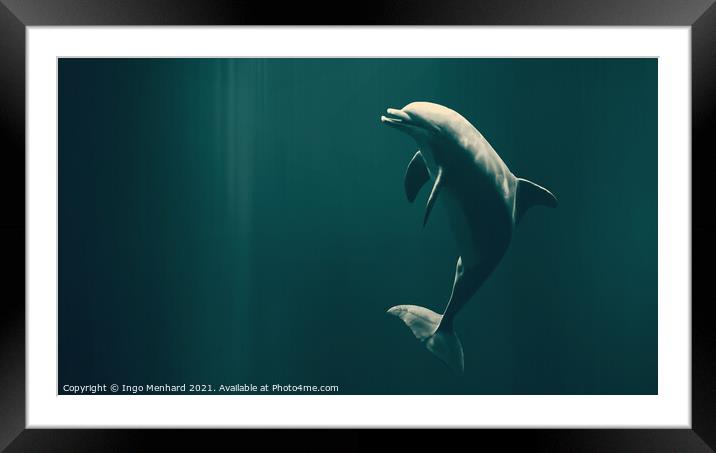 Happy dolphin Framed Mounted Print by Ingo Menhard