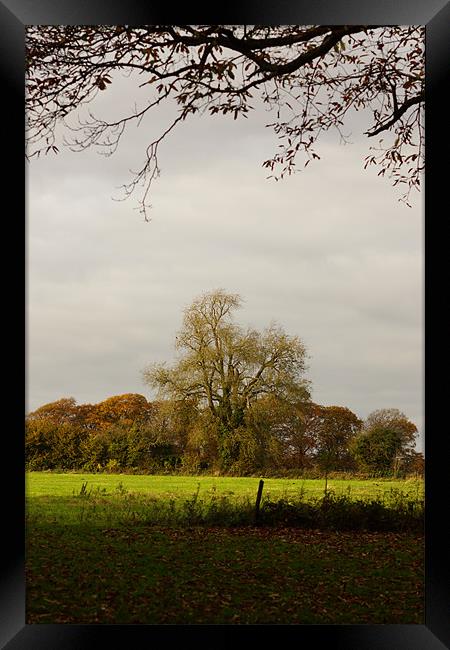 English Autumn View Framed Print by Alan Jacobs