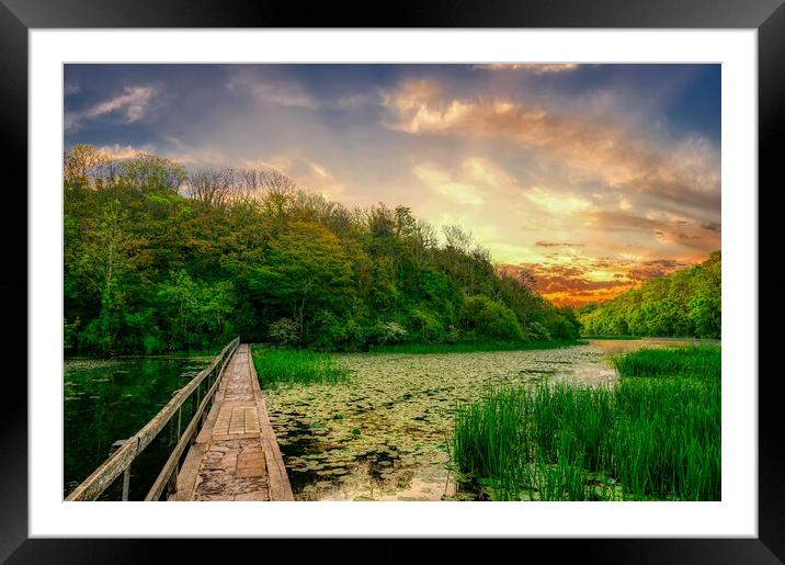 Enchanting Sunrise at The Bosherston Lily Ponds Framed Mounted Print by Tracey Turner
