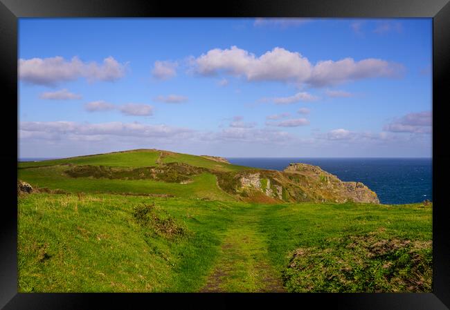 Bossiney Headland in North Cornwall Framed Print by Tracey Turner