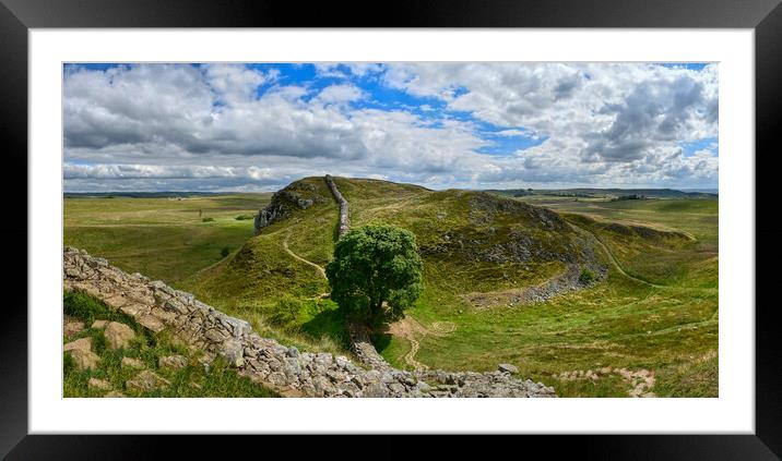 Stunning Sycamore Gap and Hadrian's Wall Panorama  Framed Mounted Print by Tracey Turner