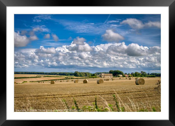 Harvest Time in The Cotswolds Framed Mounted Print by Tracey Turner