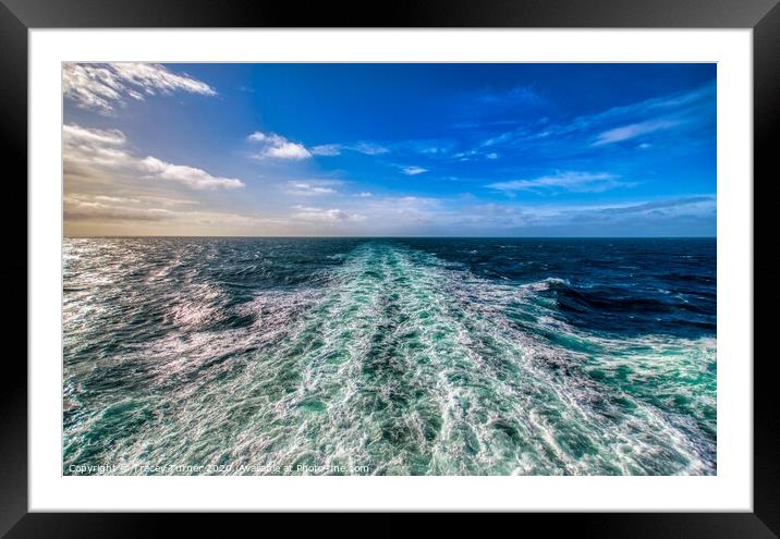 Vitamin Sea Framed Mounted Print by Tracey Turner