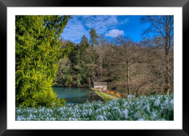 Blue Lake Beauty Framed Mounted Print by Tracey Turner