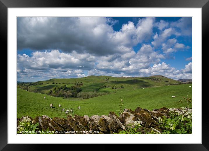 The Dales Framed Mounted Print by Tracey Turner