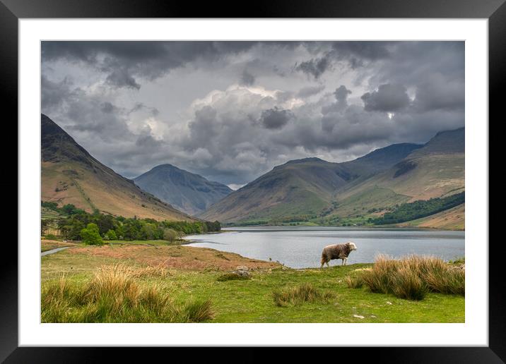 Scafell Pike and Wast Water in the Lake District Framed Mounted Print by Tracey Turner