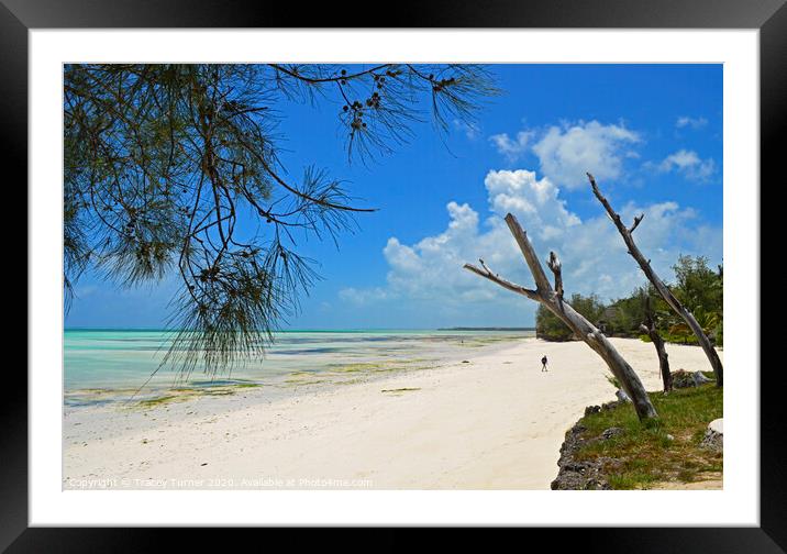 Pongwe Beach in Zanzibar Framed Mounted Print by Tracey Turner
