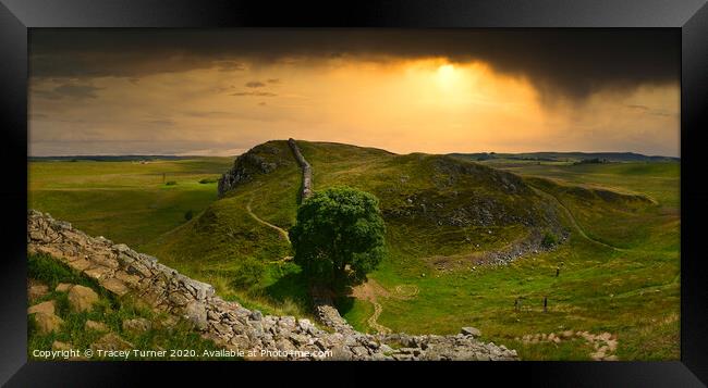 Stunning Sycamore Gap Panoramic Framed Print by Tracey Turner