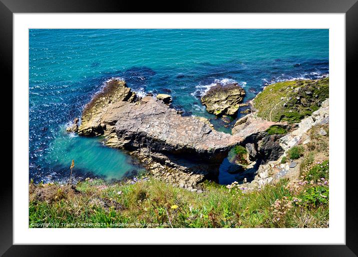 Pembrokeshire Coast Path Framed Mounted Print by Tracey Turner
