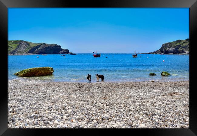 Lulworth Cove in Dorset Framed Print by Tracey Turner