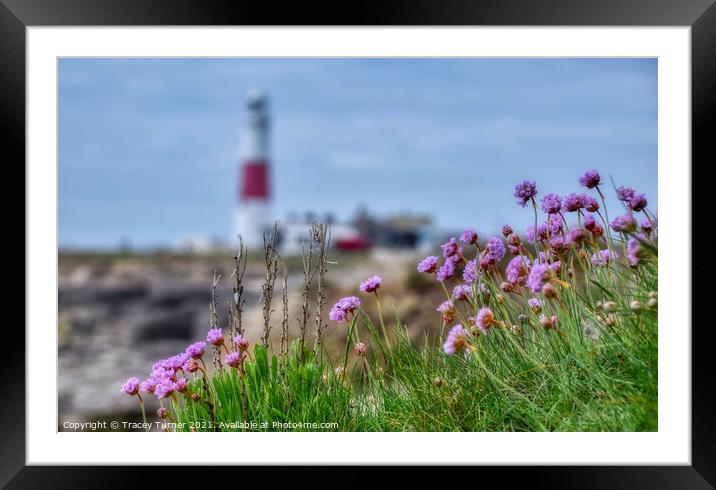 Pink Perfection at Portland Bill Framed Mounted Print by Tracey Turner