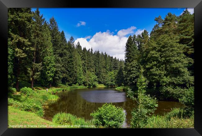 Serene Soudley Ponds in the Forest of Dean Framed Print by Tracey Turner